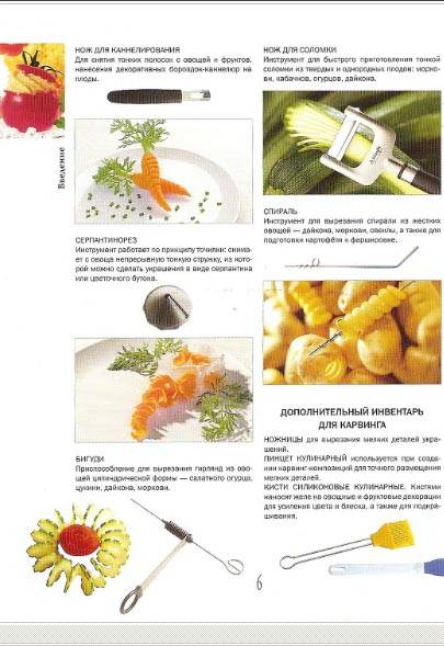 Иллюстрация 3 из 19 для Как декорировать блюда - Селезнева, Филипп | Лабиринт - книги. Источник: Dana-ja