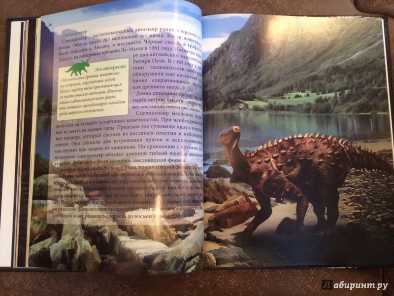 Иллюстрация 27 из 36 для Динозавры - Ирина Астапенко | Лабиринт - книги. Источник: Лабиринт