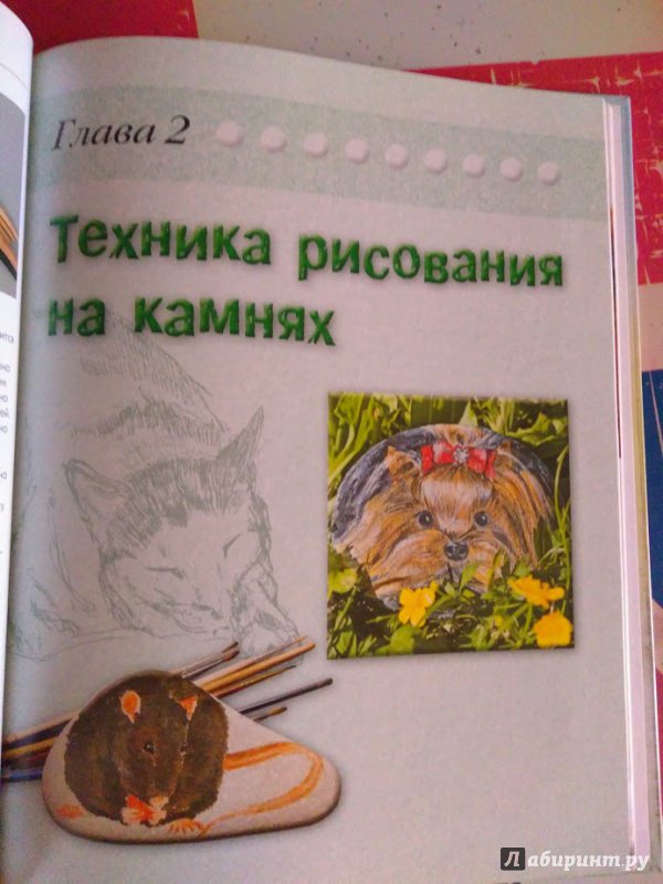 Иллюстрация 12 из 16 для Рисуем на камнях - Дарья Огнева | Лабиринт - книги. Источник: Nadya_Che
