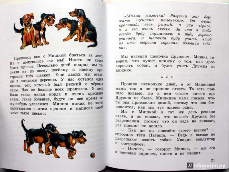Иллюстрация 28 из 39 для Мишкина каша - Николай Носов | Лабиринт - книги. Источник: Сидоренко  Сергей