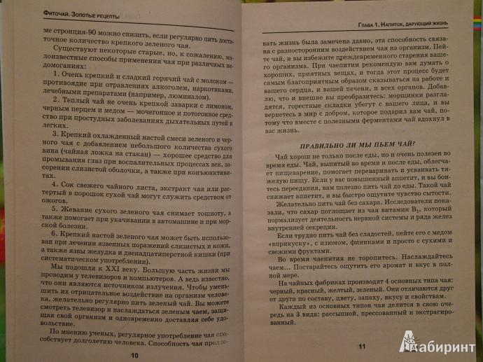 Иллюстрация 5 из 8 для Фиточай. Золотые рецепты - Лариса Славгородская | Лабиринт - книги. Источник: Мухина  Антонина