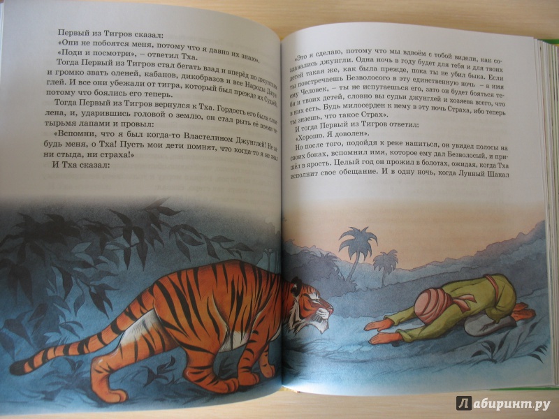 Иллюстрация 20 из 32 для Маугли - Редьярд Киплинг | Лабиринт - книги. Источник: Крелена