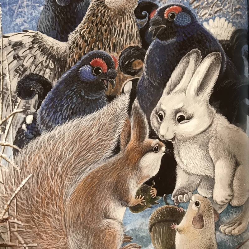Иллюстрация 99 из 141 для Приключения зайца Пульки и его друзей - Валерий Кастрючин | Лабиринт - книги. Источник: Таланова  Алёна Игоревна
