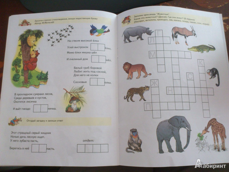 Иллюстрация 9 из 18 для Развиваем речь детям 5-6 лет | Лабиринт - книги. Источник: natali1207