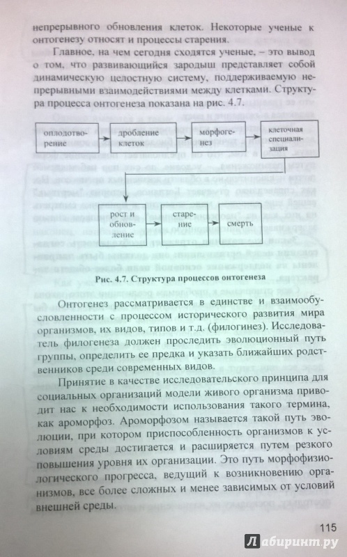 Иллюстрация 7 из 14 для Теория организации. Учебник для вузов - Алиев, Варфоломеев, Алиев | Лабиринт - книги. Источник: very_nadegata