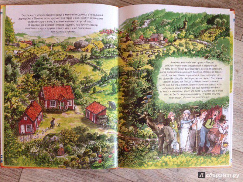 Иллюстрация 52 из 80 для Именинный пирог - Свен Нурдквист | Лабиринт - книги. Источник: Романова  Ксения