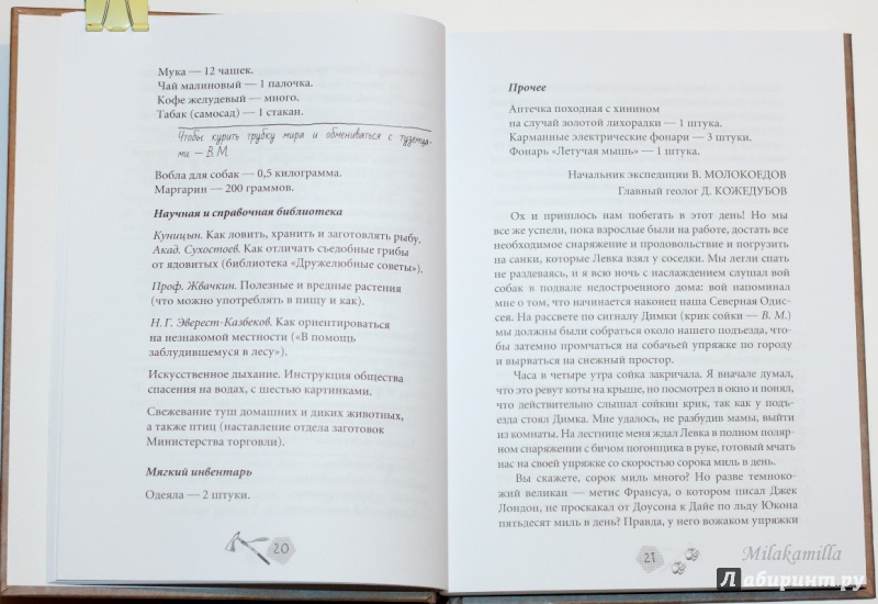 Иллюстрация 37 из 58 для Тайна золотой долины - Василий Клепов | Лабиринт - книги. Источник: Букландия