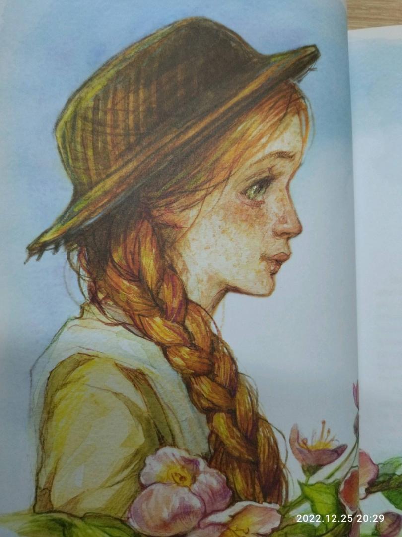 Иллюстрация 136 из 141 для Аня с фермы Зеленые Крыши - Люси Монтгомери | Лабиринт - книги. Источник: Татьянка