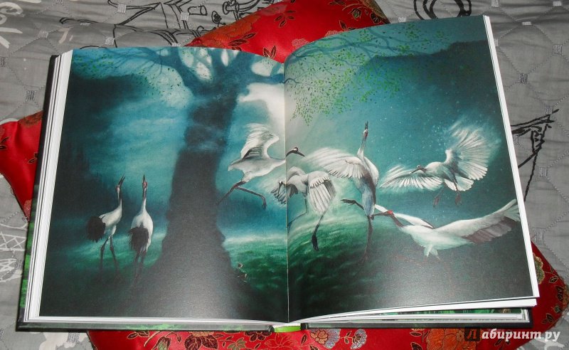 Иллюстрация 9 из 24 для Чудесное путешествие Нильса с дикими гусями - Сельма Лагерлеф | Лабиринт - книги. Источник: Мелихова  Вера