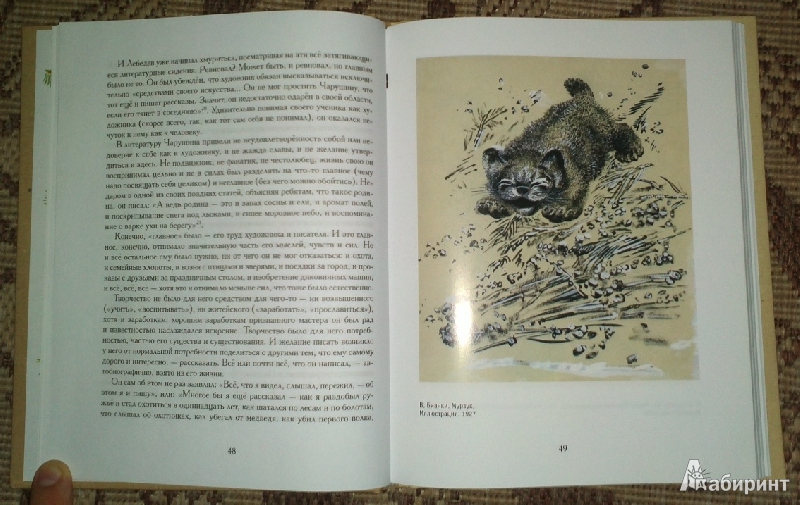 Иллюстрация 60 из 65 для Звери и птицы Евгения Чарушина - Эраст Кузнецов | Лабиринт - книги. Источник: Буквоед