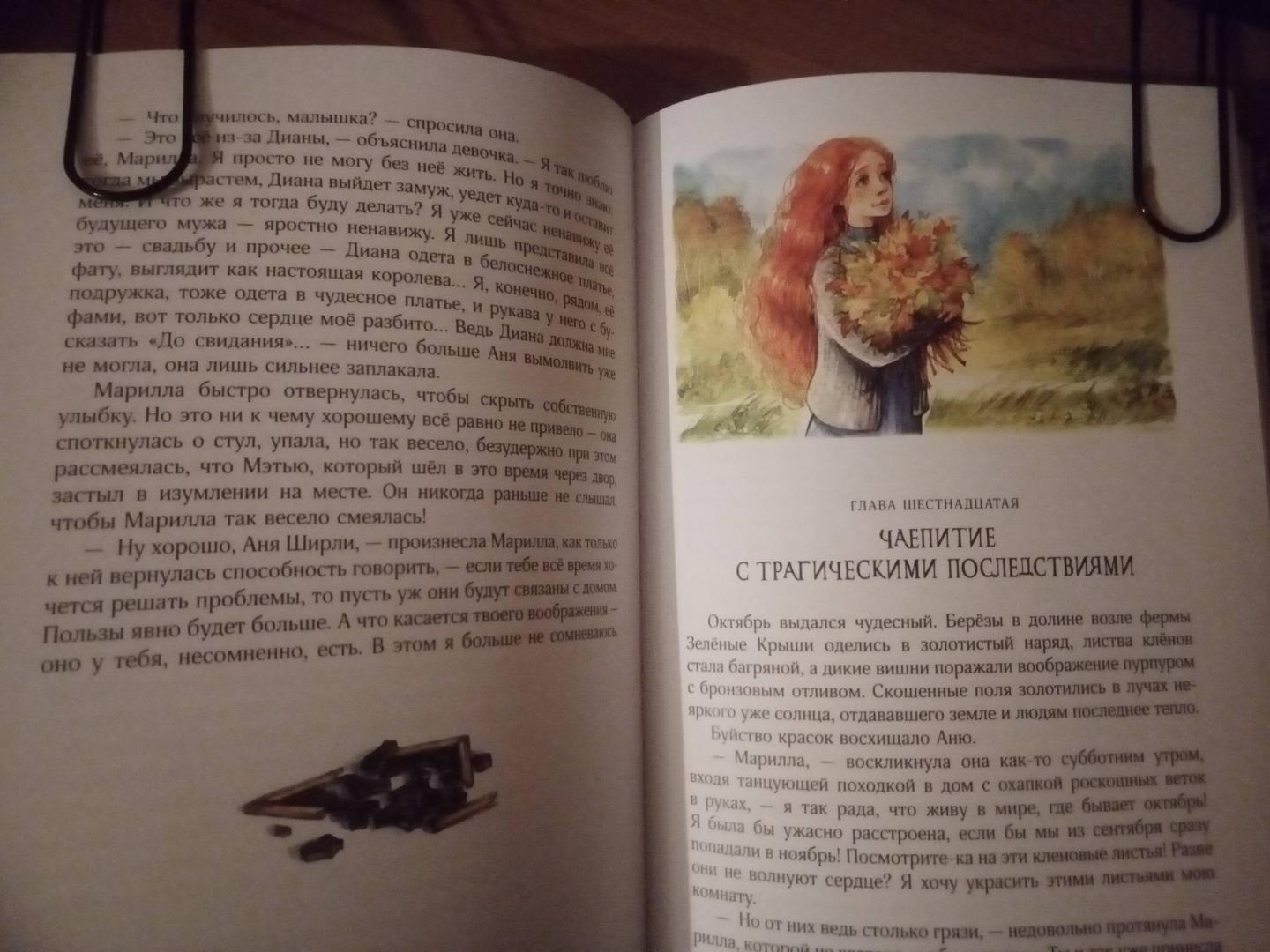 Иллюстрация 60 из 141 для Аня с фермы Зеленые Крыши - Люси Монтгомери | Лабиринт - книги. Источник: Yayoi