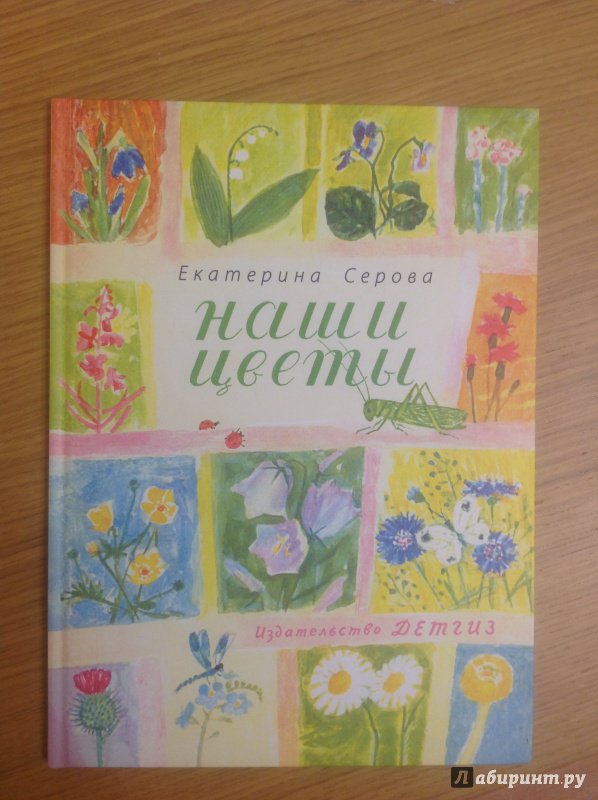 Иллюстрация 66 из 69 для Наши цветы - Екатерина Серова | Лабиринт - книги. Источник: Патрикеевна  Лиса