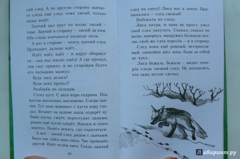 Иллюстрация 12 из 14 для О смешных зайчиках - Бианки, Сладков, Пришвин | Лабиринт - книги. Источник: Марина