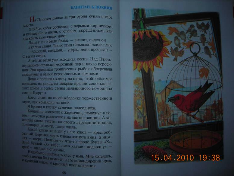 Иллюстрация 17 из 55 для Алый и другие рассказы - Юрий Коваль | Лабиринт - книги. Источник: Плахова  Татьяна