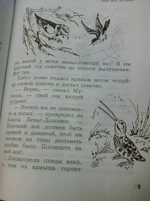 Иллюстрация 3 из 4 для Лесные были - Виталий Бианки | Лабиринт - книги. Источник: lettrice