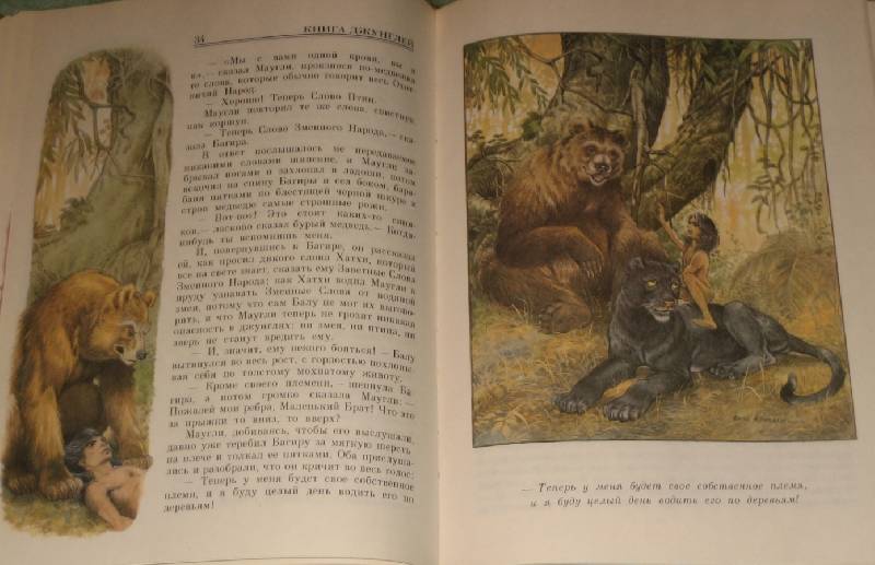 Иллюстрация 91 из 164 для Книга джунглей - Редьярд Киплинг | Лабиринт - книги. Источник: Гостья