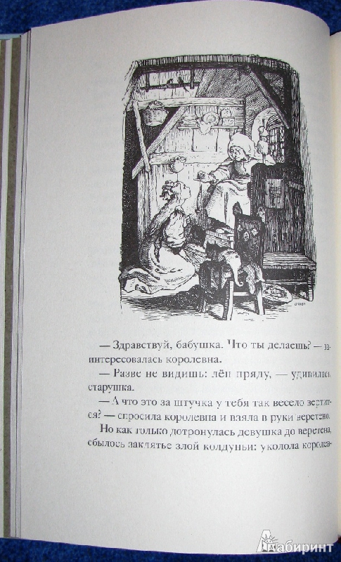 Иллюстрация 10 из 30 для Сказки - Гримм Якоб и Вильгельм | Лабиринт - книги. Источник: reader*s