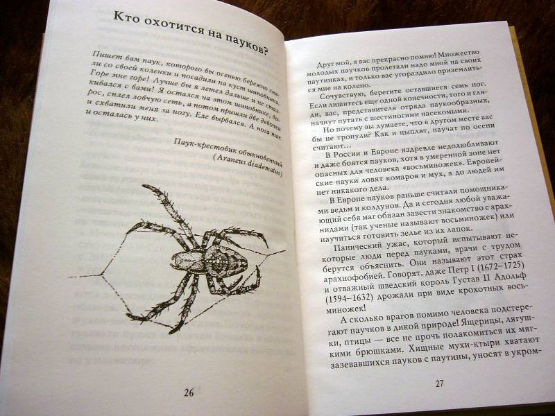 Иллюстрация 31 из 32 для Письма насекомых - Ольга Кувыкина | Лабиринт - книги. Источник: Nika