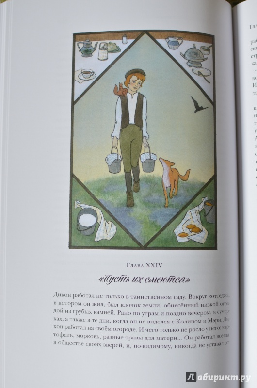 Иллюстрация 21 из 25 для Таинственный сад - Фрэнсис Бёрнетт | Лабиринт - книги. Источник: reka