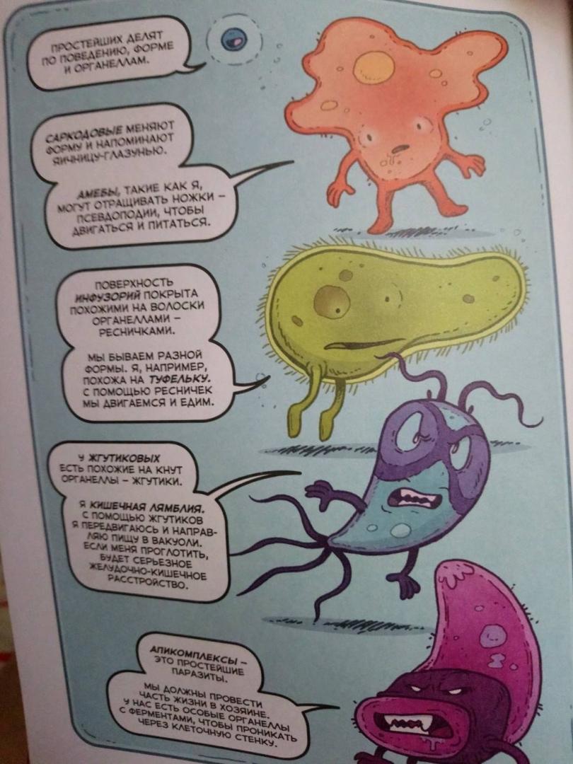 Иллюстрация 9 из 58 для Вирусы и микробы. Научный комикс - Фалинн Кох | Лабиринт - книги. Источник: Алексеевна zvezdik78