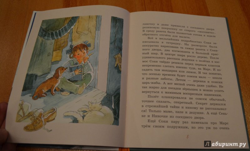 Иллюстрация 17 из 30 для Борька, брысь! - Анна Доброчасова | Лабиринт - книги. Источник: Лабиринт