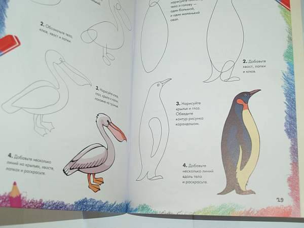 Иллюстрация 20 из 36 для Рисуем морских животных, рыб и птиц | Лабиринт - книги. Источник: Cовушка