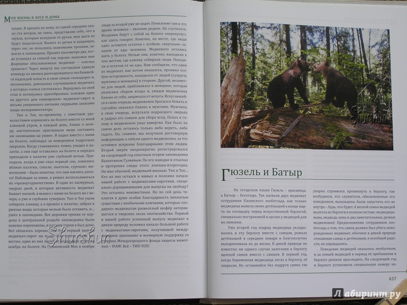 Иллюстрация 39 из 48 для Моя жизнь в лесу и дома - Валентин Пажетнов | Лабиринт - книги. Источник: Shurshun
