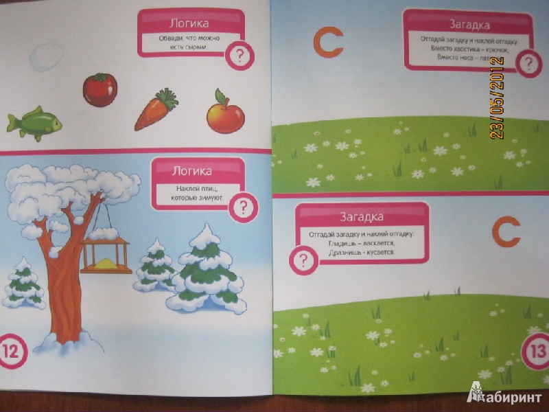 Иллюстрация 7 из 49 для Развитие речи. Развивающая книга с наклейками для детей от 5-ти лет - С. Разин | Лабиринт - книги. Источник: Гилева  Любовь Валерьевна