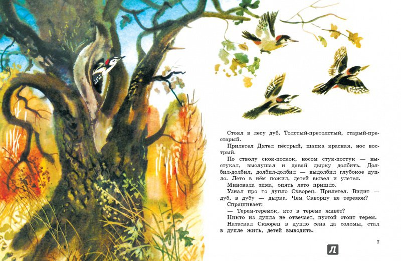 Иллюстрация 3 из 34 для Теремок - Виталий Бианки | Лабиринт - книги. Источник: Издательство  Стрекоза