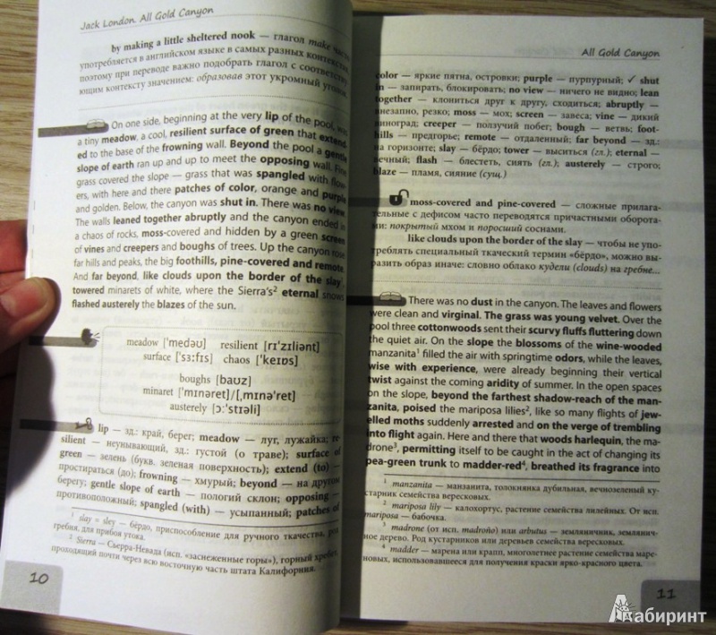 Иллюстрация 3 из 5 для Золотой каньон. метод комментированного чтения - Джек Лондон | Лабиринт - книги. Источник: Alien