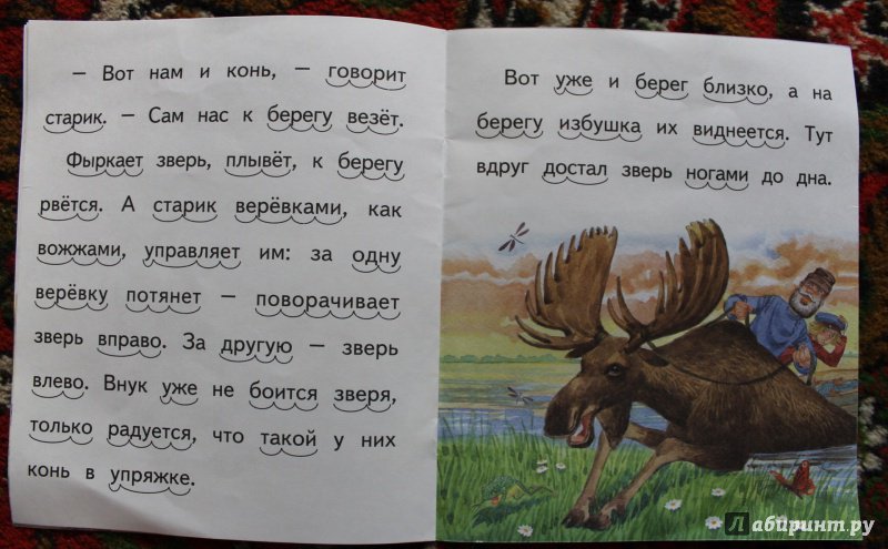 Иллюстрация 7 из 9 для Водяной конь - Виталий Бианки | Лабиринт - книги. Источник: . NastasiaBu