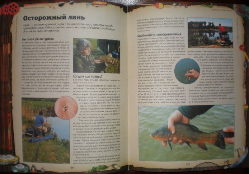 Иллюстрация 11 из 55 для Энциклопедия рыбалки | Лабиринт - книги. Источник: Гостья