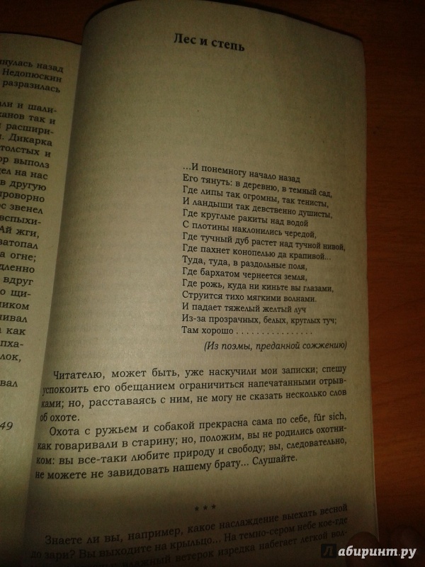 Иллюстрация 15 из 21 для Муму. Записки охотника - Иван Тургенев | Лабиринт - книги. Источник: Меринов  Кирилл