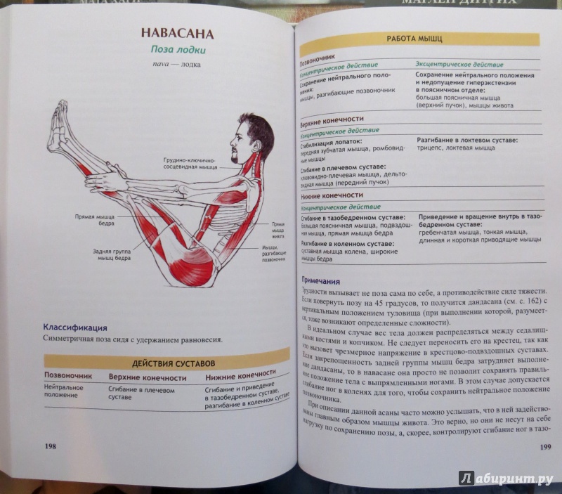 Иллюстрация 8 из 49 для Анатомия йоги - Каминофф, Мэтьюз | Лабиринт - книги. Источник: Катовася