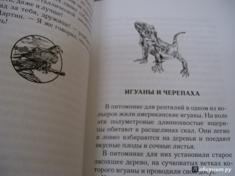 Иллюстрация 7 из 10 для Громила и Рыжик - Татьяна Нилова | Лабиринт - книги. Источник: КошкаПолосатая