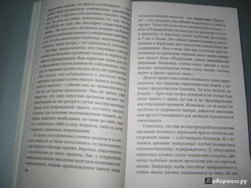 Иллюстрация 7 из 18 для Самое важное о болезнях костей - О.Н. Родионова | Лабиринт - книги. Источник: Alonka