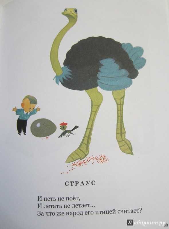 Иллюстрация 31 из 94 для Школа для птенцов - Борис Заходер | Лабиринт - книги. Источник: Пирогова  Ольга