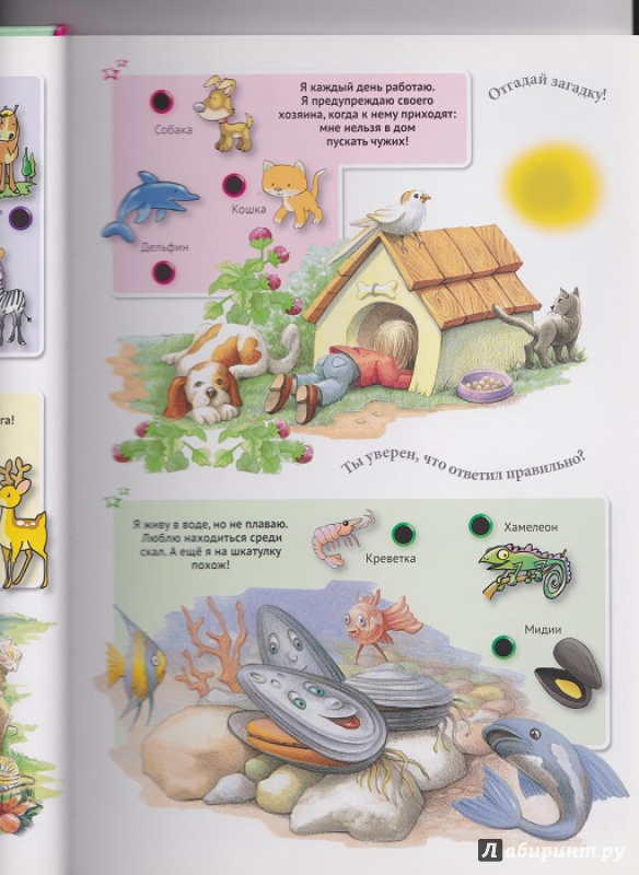 Иллюстрация 22 из 42 для Для малышей загадки о животных | Лабиринт - книги. Источник: Моисеева  Ирина