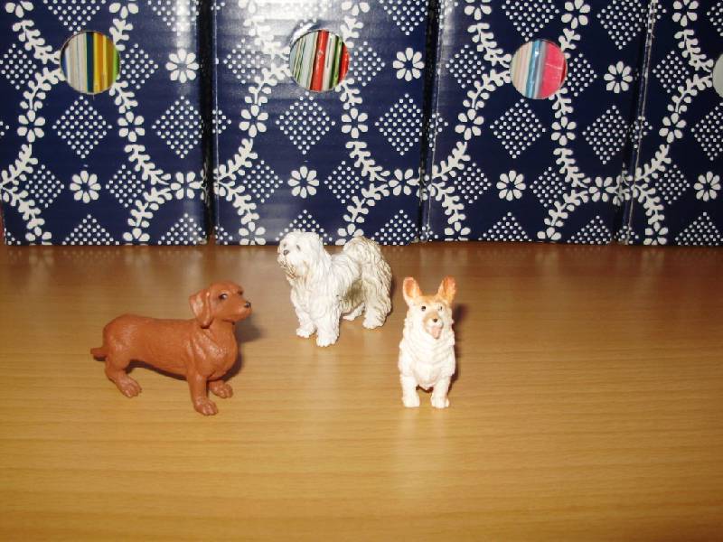 Иллюстрация 5 из 7 для Собаки, 12 фигурок (695504) | Лабиринт - игрушки. Источник: Диковинка