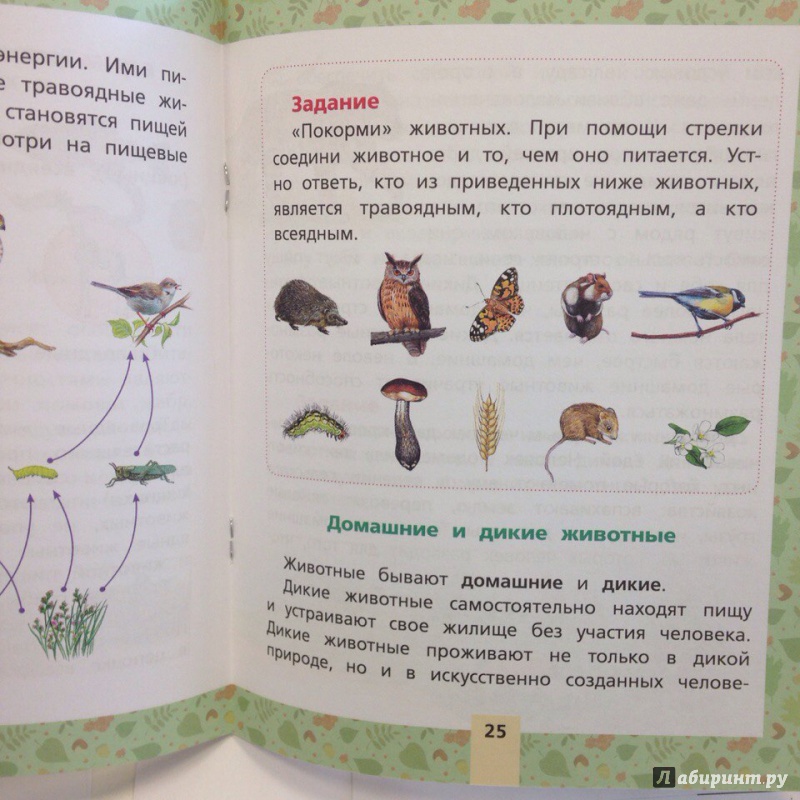 Иллюстрация 2 из 5 для Окружающий мир. Растения и животные. Для начальной школы | Лабиринт - книги. Источник: __  Екатерина