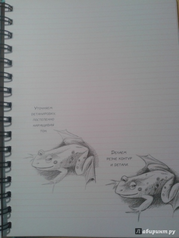 Иллюстрация 11 из 18 для Животные. Sketchbook (мята) - Н. Савельева | Лабиринт - канцтовы. Источник: *Gleek*
