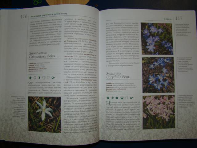 Иллюстрация 10 из 10 для Лучшие садовые цветы - Владимир Чуб | Лабиринт - книги. Источник: Easy