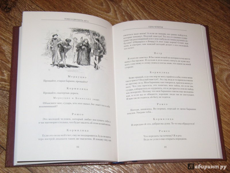 Иллюстрация 28 из 34 для Ромео и Джульетта - Уильям Шекспир | Лабиринт - книги. Источник: Эля