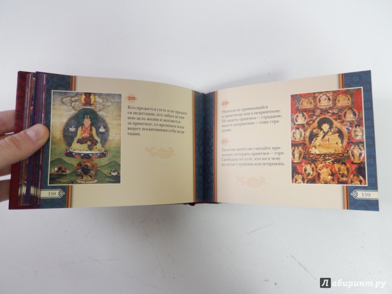 Иллюстрация 8 из 21 для Путь Будды. Священная Дхаммапада с иллюстрациями из Музея Рубина (Нью-Йорк) | Лабиринт - книги. Источник: dbyyb