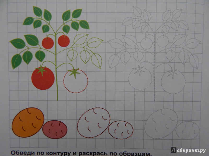 Иллюстрация 17 из 27 для Готовим руку к письму. Рисуем овощи и фрукты - О. Кучеренко | Лабиринт - книги. Источник: Мелкова  Оксана