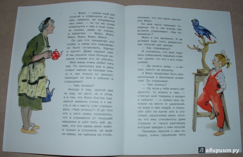 Иллюстрация 23 из 31 для Воинственный Жако - Сергей Воронин | Лабиринт - книги. Источник: Книжный кот