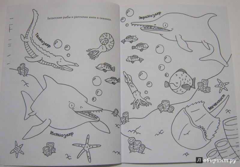 Иллюстрация 17 из 17 для Цветные динозаврики. Раскраска | Лабиринт - книги. Источник: leontyua