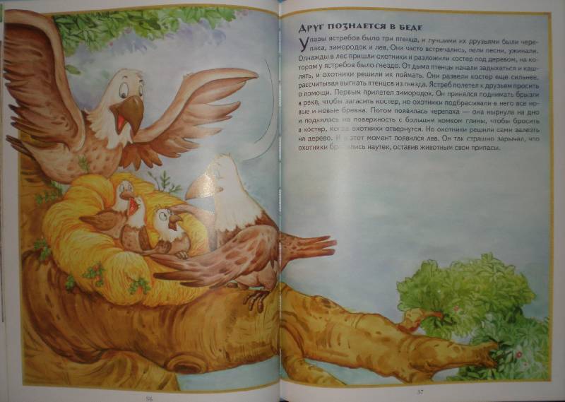 Иллюстрация 27 из 30 для Про зверей. Сказки, истории, притчи | Лабиринт - книги. Источник: Гостья