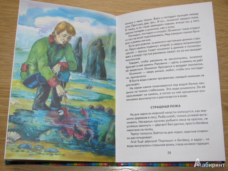 Иллюстрация 14 из 31 для Охотничьи истории - Геннадий Снегирев | Лабиринт - книги. Источник: ProstoEkaterina