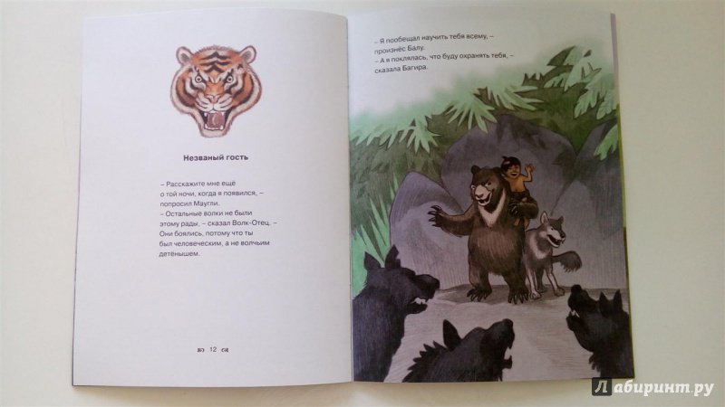 Иллюстрация 8 из 15 для День рождения Маугли - Редьярд Киплинг | Лабиринт - книги. Источник: Selena-Луна